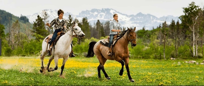 Confident plus-size woman riding Houghton Regis a horse through a field with a smile on her face.